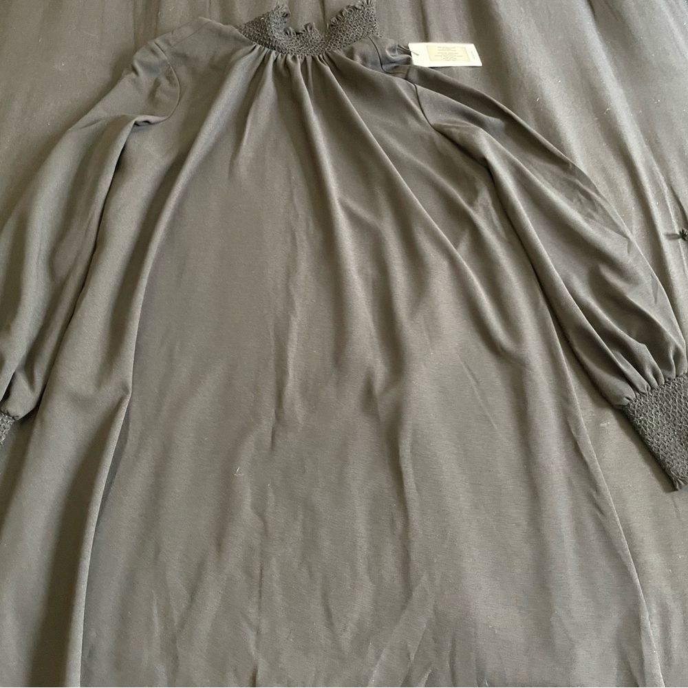 Anthropologie Black Mock Turtleneck Dress